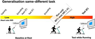 Similar effect of running on visual and auditory time perception in the ranges of milliseconds and seconds